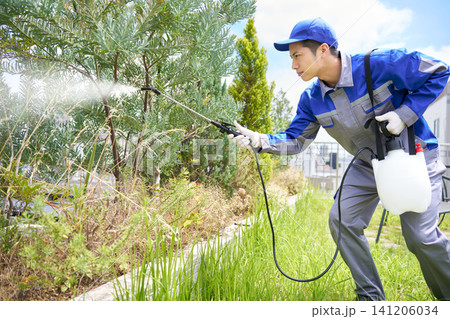 薬剤散布を行う専門業者の若い男性 薬剤散布を行う専門業者の若い男性 141206034