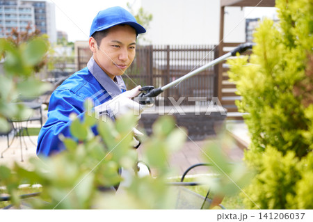 住宅の庭で害虫防除作業を行うスタッフ 住宅の庭で害虫防除作業を行うスタッフ 141206037