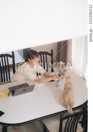 Cheerful young asian woman enjoying relaxed domestic lifestyle sitting at dining table playing with cute pet cat beside modern laptop computer during bright sunny morning 141206312