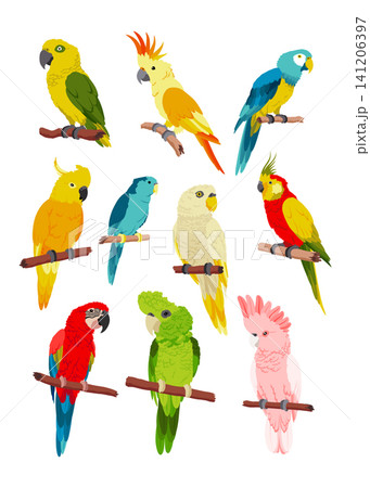Colorful tropical parrot collection on perches 141206397