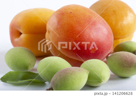 Green fresh apricots and ripe apricots on a white background Green fresh apricots and ripe apricots on a white background 141206628