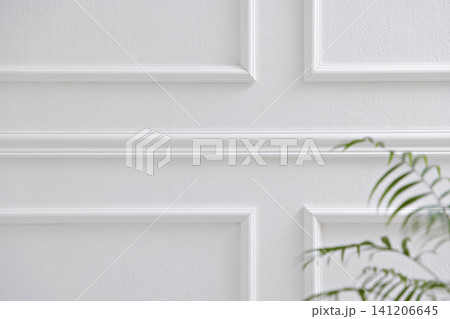 Elegant White Wainscoting Wall Background with Natural Sunlight and Green Plant Elegant White Wainscoting Wall Background with Natural Sunlight and Green Plant 141206645