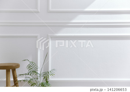 Elegant White Wainscoting Wall Background with Natural Sunlight and Green Plant 141206653