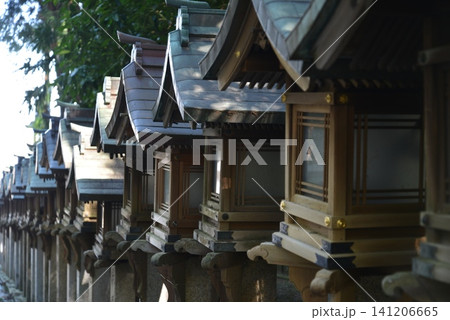 奈良県生駒市 宝山寺参道のどこまでも続く伝統的な木製灯籠 奈良県生駒市 宝山寺参道のどこまでも続く伝統的な木製灯籠 141206665