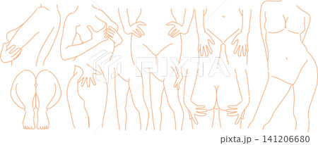 女性の体のイラスト 女性の体のイラスト 141206680