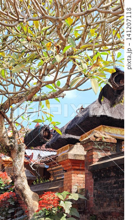 Handcrafted coconut husk bee house in traditional Balinese style hanging from a frangipani tree, providing habitat for native bees within the tranquil surroundings of a historic temple garden.  141207118