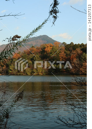 紅葉した木々と池 紅葉した木々と池 141207313