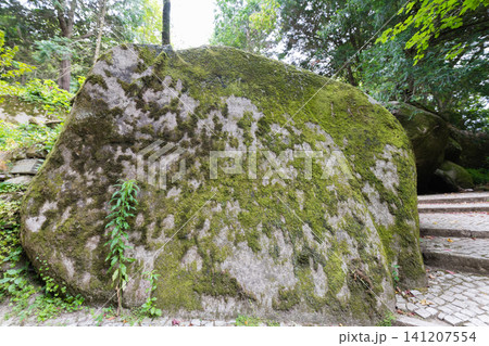 Large moss-covered rock sits among trees in a garden Large moss-covered rock sits among trees in a garden 141207554