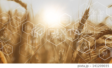 Smart farm technology enhances crop growth and management during golden hour Smart farm technology enhances crop growth and management during golden hour 141209035