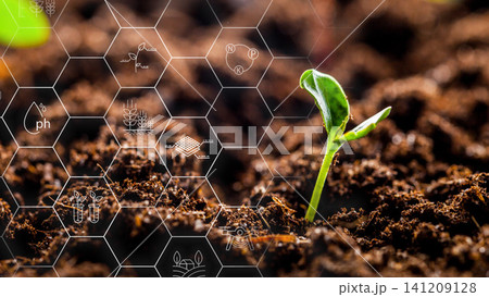 Smart farm technology allows for growth of new plants in soil with digital tools Smart farm technology allows for growth of new plants in soil with digital tools 141209128