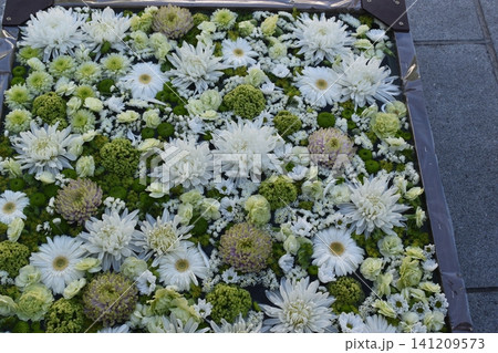 長野 善光寺花回廊 イベント 花 長野 善光寺花回廊 イベント 花 141209573