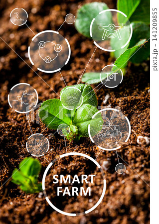 Smart farm concept with technology symbols shown over green plant growth in soil Smart farm concept with technology symbols shown over green plant growth in soil 141209855