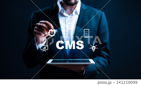 Business professional works with digital tools for content management system in office Business professional works with digital tools for content management system in office 141210099
