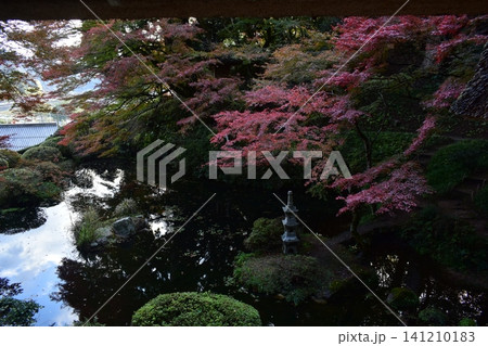 広島 日本庭園 紅葉 秋 吉水園 広島 日本庭園 紅葉 秋 吉水園 141210183