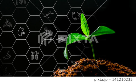 Growth of plant in smart farm with technology background showing data and information Growth of plant in smart farm with technology background showing data and information 141210233