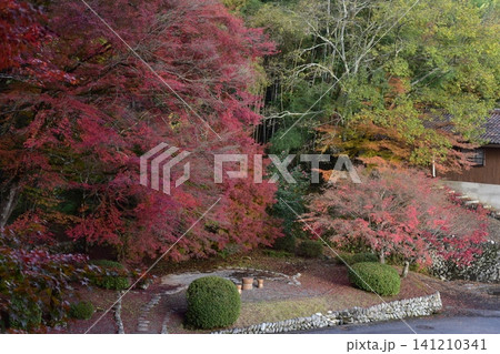 広島　日本庭園　紅葉　秋　吉水園 141210341