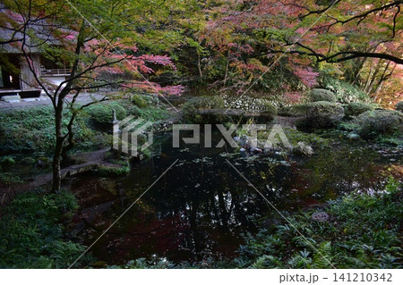 広島 日本庭園 紅葉 秋 吉水園 広島 日本庭園 紅葉 秋 吉水園 141210342