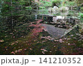 広島　日本庭園　紅葉　秋　吉水園 141210352