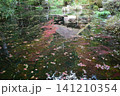 広島　日本庭園　紅葉　秋　吉水園 141210354