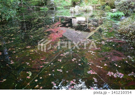 広島 日本庭園 紅葉 秋 吉水園 広島 日本庭園 紅葉 秋 吉水園 141210354