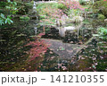 広島　日本庭園　紅葉　秋　吉水園 141210355