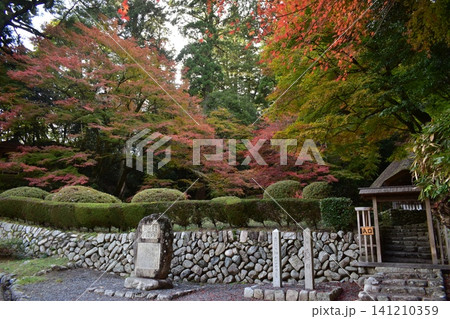 広島　日本庭園　紅葉　秋　吉水園 141210359