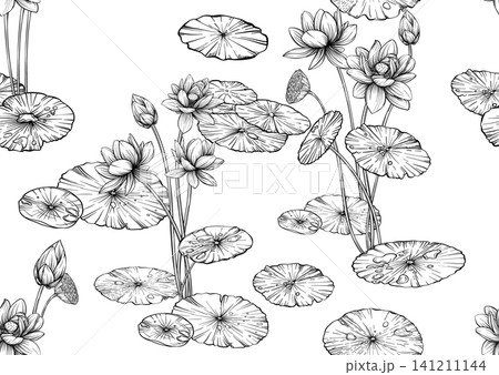 Lotus seamless floral pattern Lotus seamless floral pattern 141211144