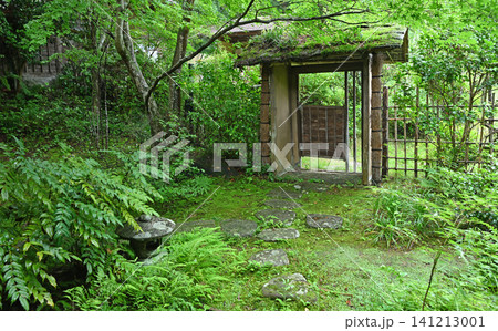 新緑の日本庭園 苔むす石畳と歴史を紡ぐ美しい茅葺き門 新緑の日本庭園 苔むす石畳と歴史を紡ぐ美しい茅葺き門 141213001