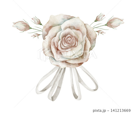 Rose watercolor illustration. Floral art with pale pink Flower, buds and white ribbon bow on isolated background for wedding invitations or greeting cards. Botanical vintage art for nostalgic design. 141213669