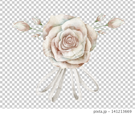 Rose watercolor illustration. Floral art with pale pink Flower, buds and white ribbon bow on isolated background for wedding invitations or greeting cards. Botanical vintage art for nostalgic design. 141213669