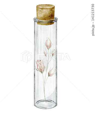 Flower watercolor illustration with glass bottle and botanical branch on isolated background for vintage decor. Floral art of Roses in transparent jar for homeopathy or medicine design. Flower watercolor illustration with glass bottle and botanical branch on isolated background for vintage decor. Floral art of Roses in transparent jar for homeopathy or medicine design. 141213730