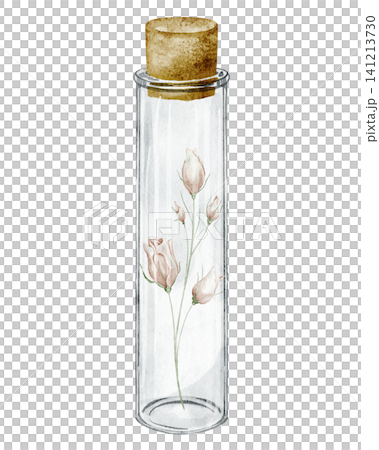 Flower watercolor illustration with glass bottle and botanical branch on isolated background for vintage decor. Floral art of Roses in transparent jar for homeopathy or medicine design. Flower watercolor illustration with glass bottle and botanical branch on isolated background for vintage decor. Floral art of Roses in transparent jar for homeopathy or medicine design. 141213730