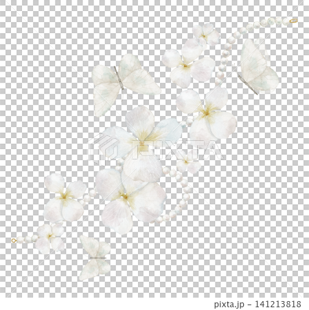 Hydrangea floral watercolor illustration with white pastel Flowers, delicate butterflies and pearl beads. Clipart with blossoms on isolated background. Botanical element for wedding invitations. Hydrangea floral watercolor illustration with white pastel Flowers, delicate butterflies and pearl beads. Clipart with blossoms on isolated background. Botanical element for wedding invitations. 141213818