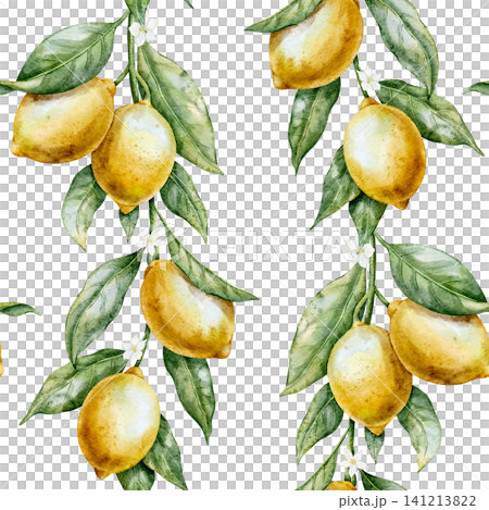 Lemon seamless watercolor Pattern with Citrus branches, leaves and blossoms. Illustration of botanical background with Fruits for textile, packaging, wallpaper, kitchen decor and summer branding. Lemon seamless watercolor Pattern with Citrus branches, leaves and blossoms. Illustration of botanical background with Fruits for textile, packaging, wallpaper, kitchen decor and summer branding. 141213822