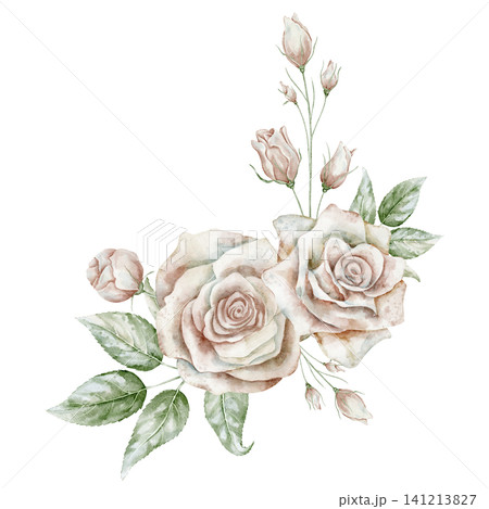 Rose Floral composition. Watercolor illustration with pale pink Flowers, leaves and buds on isolated background. Botanical decorative element for wedding invitations or greeting cards. Rose Floral composition. Watercolor illustration with pale pink Flowers, leaves and buds on isolated background. Botanical decorative element for wedding invitations or greeting cards. 141213827