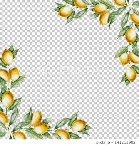 Watercolor Lemon Frame with citrus branches, leaves and blossoms. Illustration of Template for card for summer backgrounds, menu design, invitations. Art of citrus branches for cooking book. 141213902