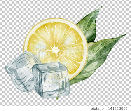 Lemon with citrus green leaves and frozen ice cubes watercolor illustration. Drawing of yellow Fruit for food label and product design. Art of cross section for juice package or kitchen elements. 141213995