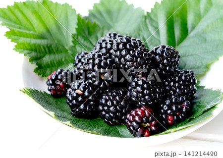Fresh organic blackberry with leaves 141214490