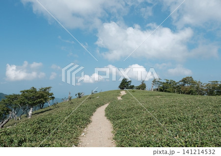 青空と夏雲の下になだらかに続く笹原の登山道と尾根の風景 141214532