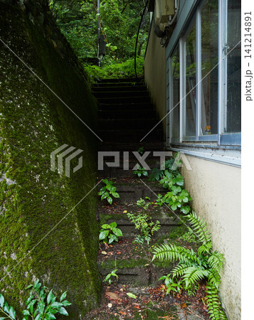 夏の雨の日の観光地奥飛騨温泉街の廃業したホテルの風景 夏の雨の日の観光地奥飛騨温泉街の廃業したホテルの風景 141214891