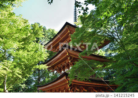 浄瑠璃寺 緑に包まれる三重塔(京都府木津川市) 浄瑠璃寺 緑に包まれる三重塔(京都府木津川市) 141215245