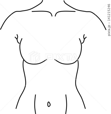 女性の体のイラスト 女性の体のイラスト 141215246