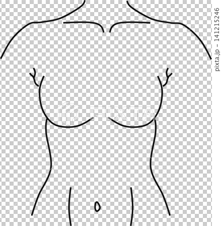 女性の体のイラスト 女性の体のイラスト 141215246