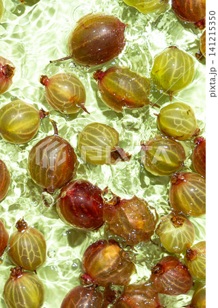 Summer berry background with gooseberries in splashing water Summer berry background with gooseberries in splashing water 141215350