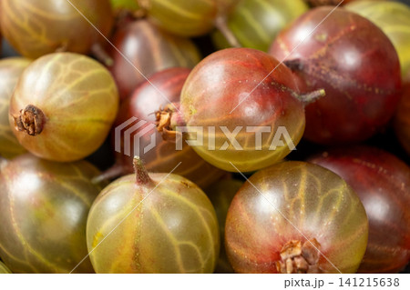 Heap of ripe red and green gooseberries, full frame organic food background. Heap of ripe red and green gooseberries, full frame organic food background. 141215638