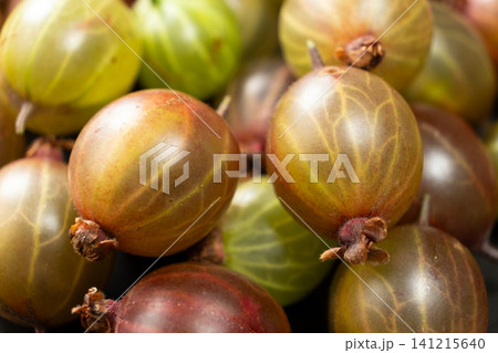 Heap of ripe red and green gooseberries, full frame organic food background. Heap of ripe red and green gooseberries, full frame organic food background. 141215640