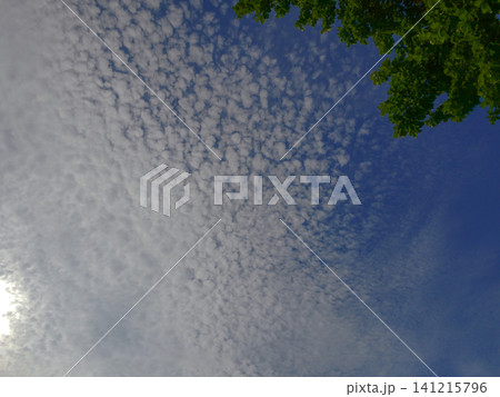 魚の鱗のような雲{巻積雲)魚の鱗のように細かく広がる 魚の鱗のような雲{巻積雲)魚の鱗のように細かく広がる 141215796