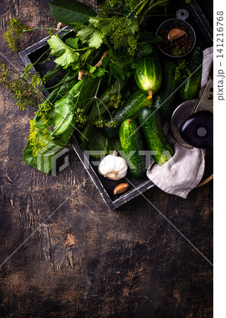 Preparation of marinated salty pickled cucumbers Preparation of marinated salty pickled cucumbers 141216768