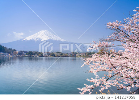 富士山・河口湖 満開の桜 富士山・河口湖 満開の桜 141217059