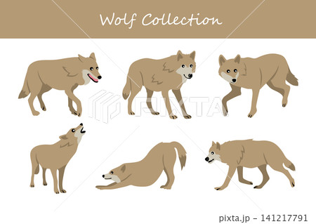 Wolf collection. Wolf in different poses Wolf collection. Wolf in different poses 141217791